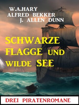 cover image of Schwarze Flagge und wilde See